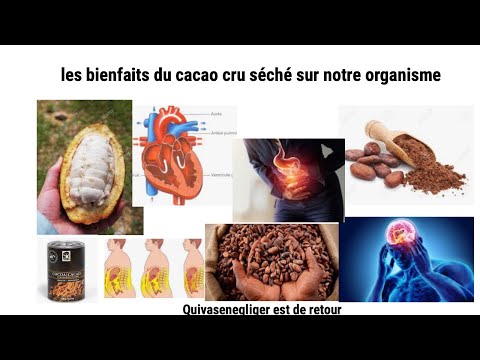 Vidéo: Quels sont les bienfaits du théobroma ?