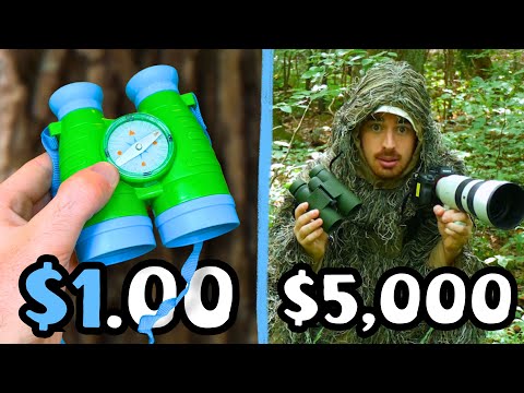 Every Bird I Find, My Gear Gets Better