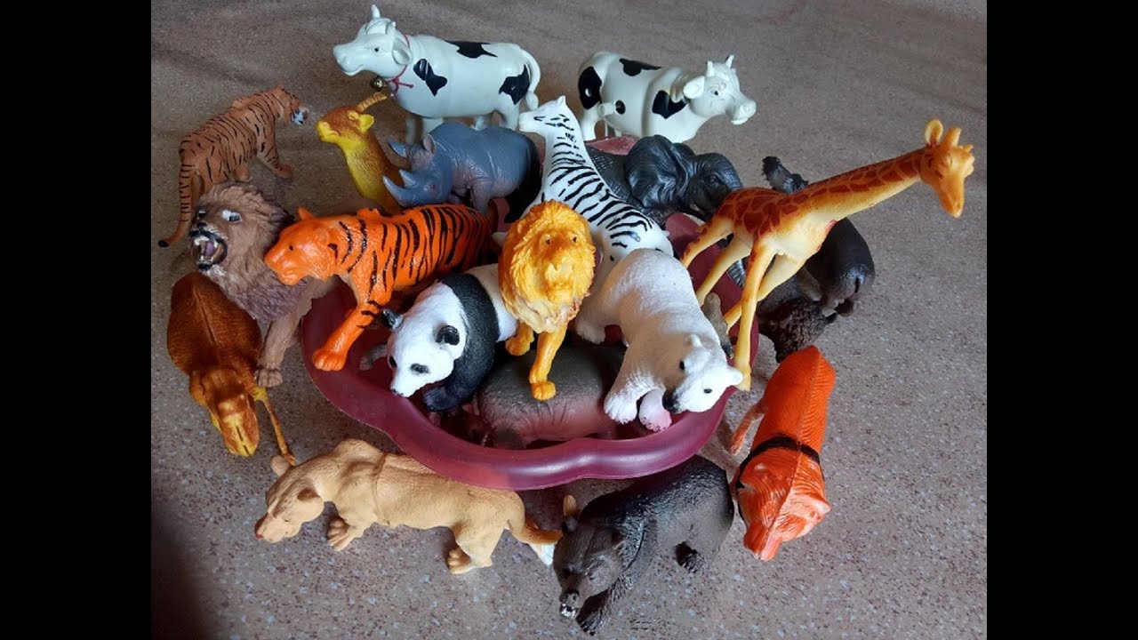 Learning Jungle Animals Jungle Animals Names And Sounds Kids Toy learning-jungle-animals-jungle-animals-names-and-sounds-kids-toy