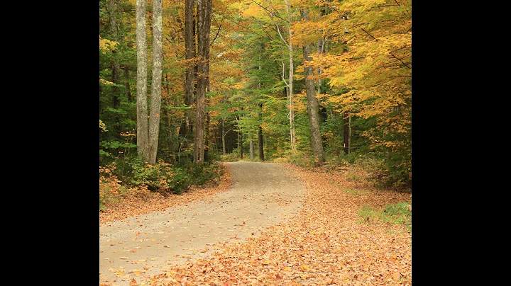 Autumn Leaves, remix with Chromatic Harmonica, bas...
