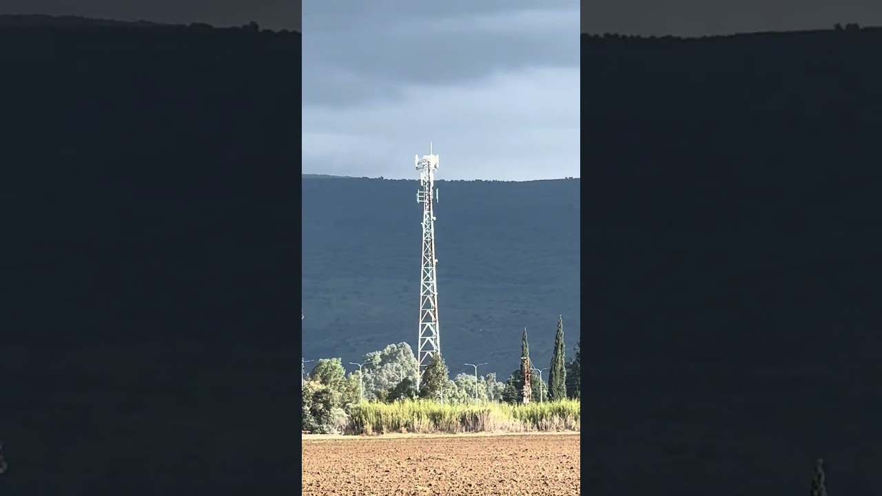 Это треш! Начиналось все мирно, а потом Изя решил, что МАМКА ЕМУ НЕ НУЖНА😪😪😪