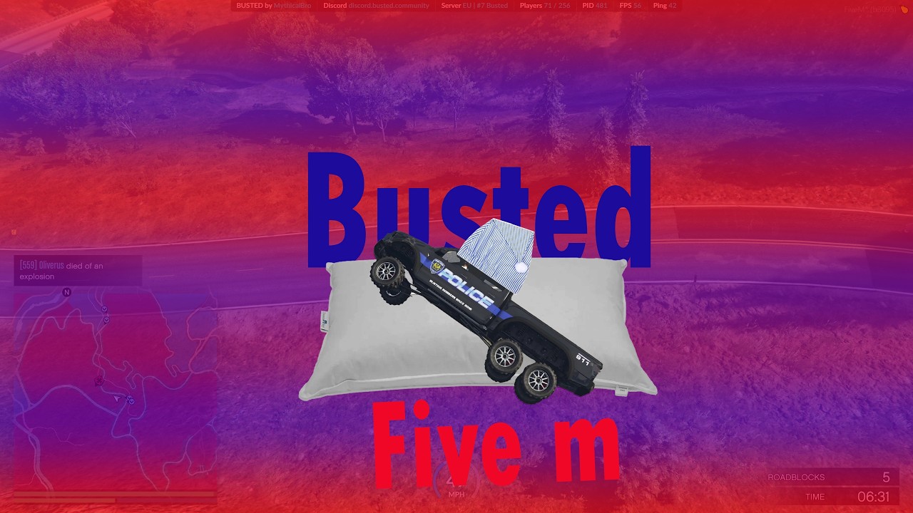 THE MOST RELAXING CHASE EVER! | FIVEM