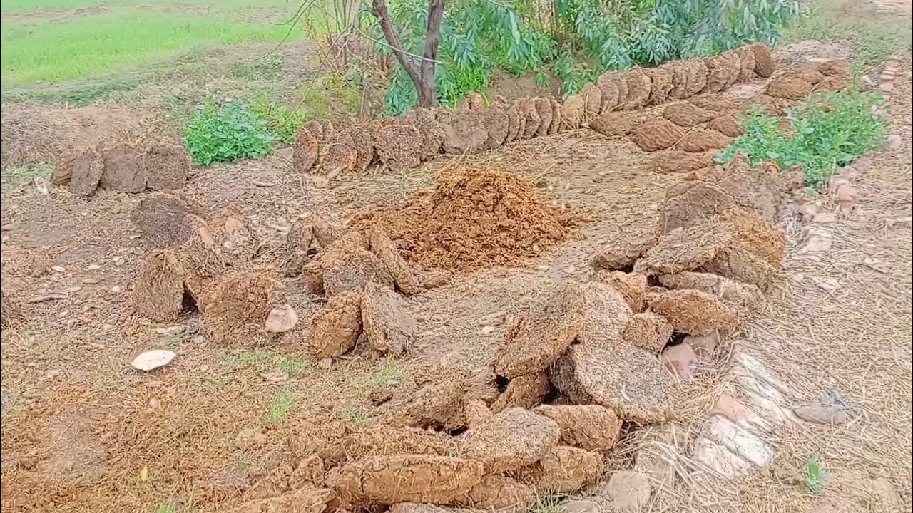 साहिल की बड़ी दादी हुई बीमार गईमें मिलने