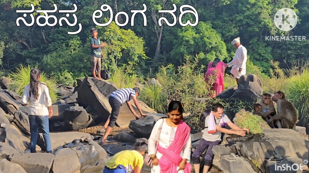 ಸಹಸ್ರ ಲಿಂಗ ನದಿ ಶಿರಸಿ / Sahasra Linga River Shirsi - YouTube