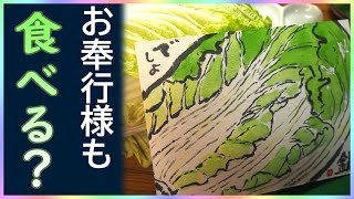 色を塗る時のコツって？画仙紙ハガキを使う絵手紙で美しく色を出す方法は？？