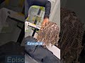 How to part for single twist episode 16