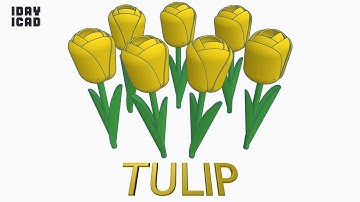 [1DAY_1CAD] TULIP (Tinkercad : Know-how / Style / Education)