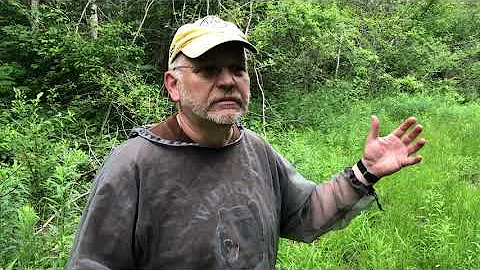 Tips for calling moose with Ontario master caller Teijo Villa