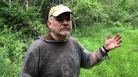 Tips for calling moose with Ontario master caller Teijo Villa