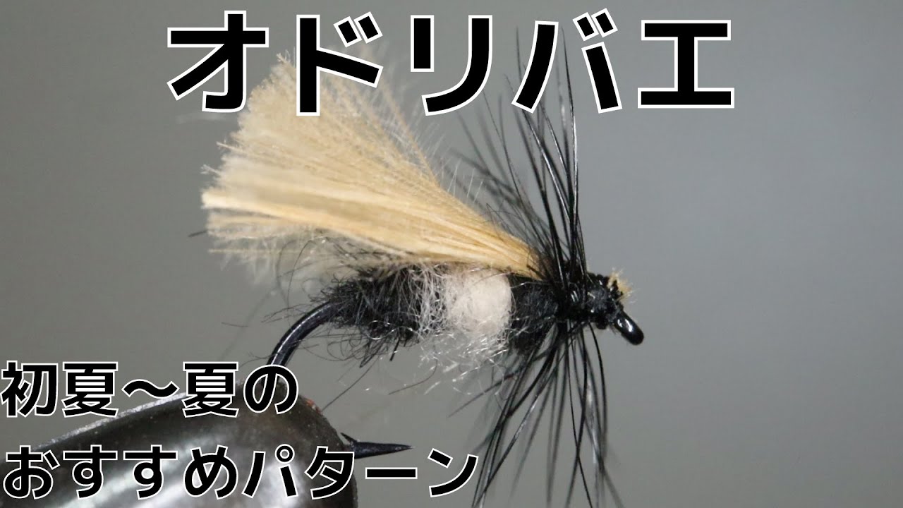 Fly Tying] Tying the Dance Fly! A Must-Have Pattern for Early