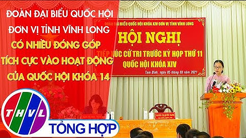 Đoàn ĐBQH đơn vị tỉnh Vĩnh Long có nhiều đóng góp tích cực vào hoạt động của Quốc hội khóa 14