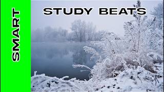 Smart Study Beats 🧠 | Deep Focus Jazzy &amp; Latin House for Memory