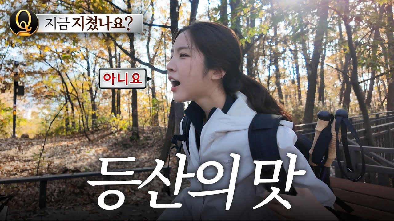 정상까지 오른 자에게 허락된 맛집