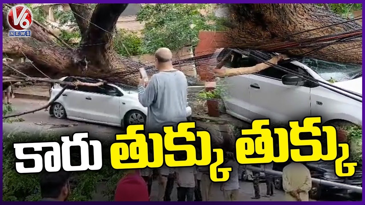 Big Tree Collapsed On Car At Banjara Hills | Hyderabad | V6 News - YouTube