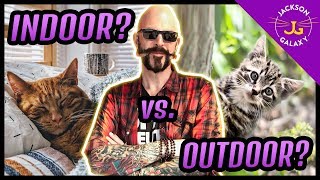 Indoor Cat Vs. Outdoor Cat?