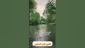 سورة الرَّحْمَنُ بصوت القارئ زكريا الشعابني