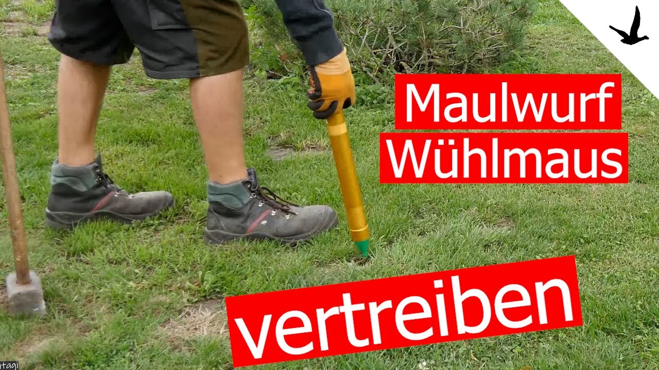 maulwurf vertreiben vibration Solar Maulwurf-Abwehr | Maulwurfschreck mit Solarpanel main image 0