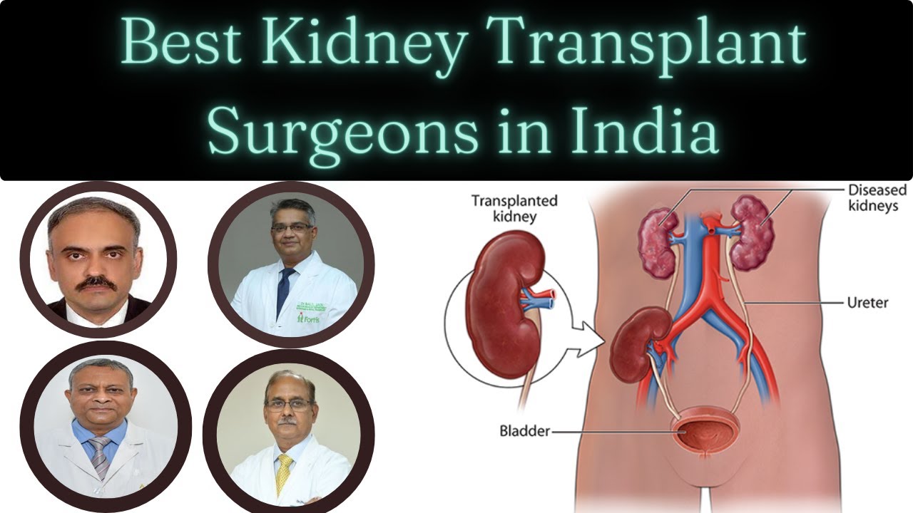 Must Watch Best Kidney Transplant Surgeons In India Healthy Talks