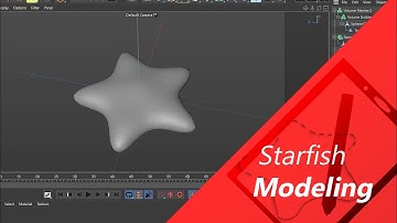 Starfish Modeling