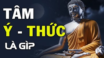 Tâm – Ý – Thức: Sự Thật Về Nhận Thức, Ảo Giác Và Cái “Tôi” Không Hề Tồn Tại
