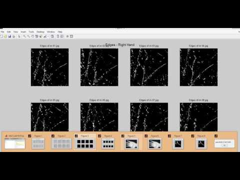 Combining Left and Right Palmprint Images for More Accurate Personal Identification|image processing