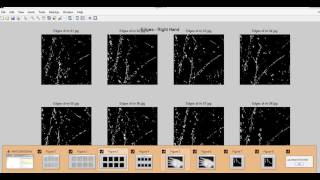 Combining Left and Right Palmprint Images for More Accurate Personal Identification|image processing Net Worth