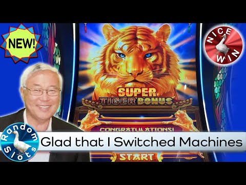 Tiger and Dragon Super Bonus Slot Machine Nice Bonus