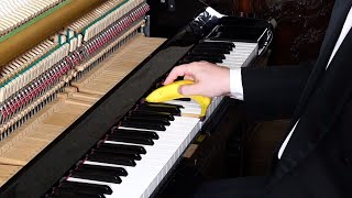 Clair de Lune Performed With a Banana
