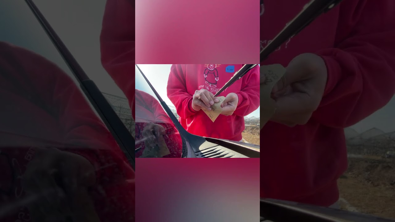 94日目②石を磨く#畑 #farming #stone