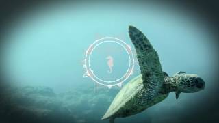 Beautiful Piano Music: Piano Sonata No 2 minor Op 35  Frederic Chopin: Beautiful Music Collection