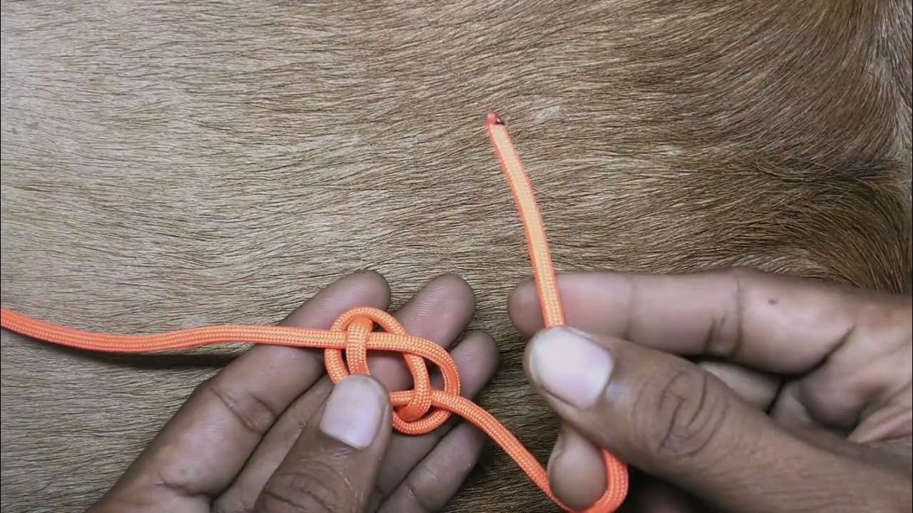 easy paracord tutorial how to make diamond knot YouTube