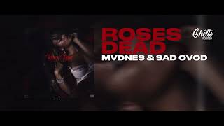 Mvdnes & Sad Ovod - Roses Dead