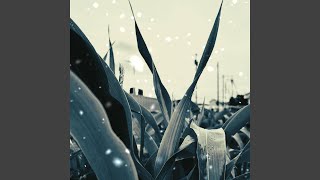 Raindrops (feat. Yawara Music)