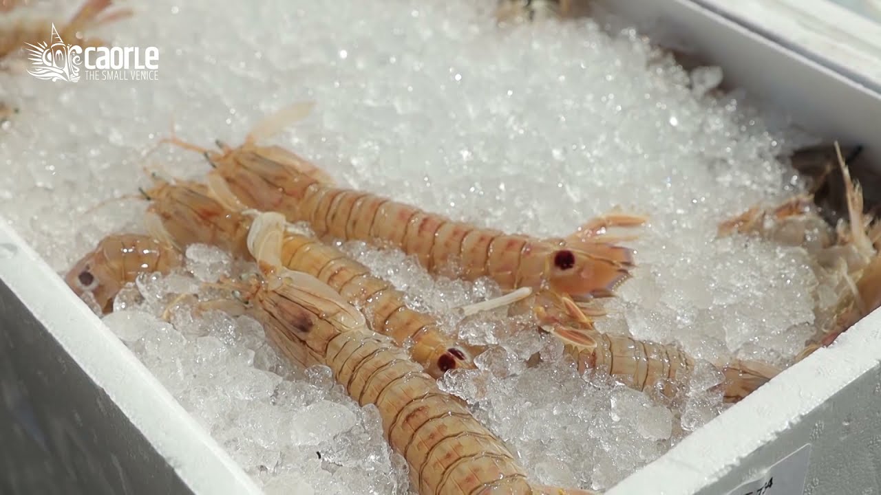 #15 Caorle Video Mercato Ittico