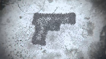 Asthma triggers - Dustmites