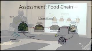 Famous Explicit Instruction by Dr. Christopher Robinson Net Worth