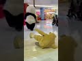 #memes #funny funny panda 🐼🐼 vs Baer dog