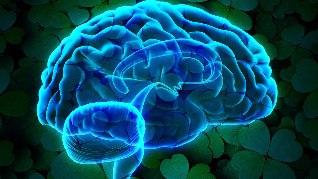 nanoscience instruments Is Free Will an Illusion?