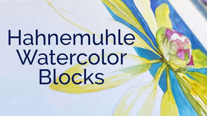 Cheap Joe's 2 Minute Art Tips - Hahnemuhle Waterco...