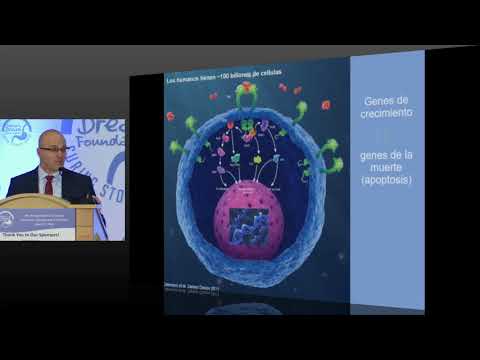 Vídeo: Expresión De PD-L1 Y Estado De Carga Mutacional Tumoral Para Predecir La Respuesta A La Quimioterapia Y La Terapia Dirigida En El Cáncer De Pulmón De Células No Pequeñas