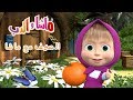 ماشا والدب - الصيف مع ماشا! 