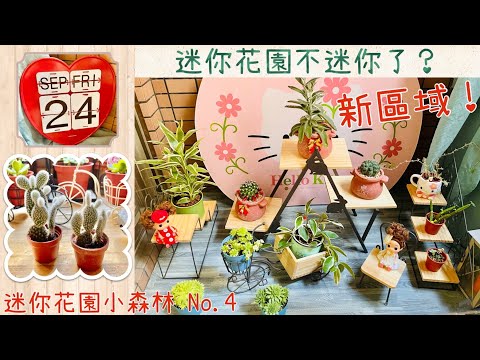 迷你花園不迷你了？增加新區域囉！/迷你花園小森林 No.4  /多肉園藝裝飾