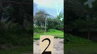 Construyendo palapa #reciclaje #palapa #ingenio #sun #acondicinando.