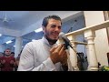 دعاء ليله 29 رمضان الشيخ عصام غالي ابكى المصلين جميعا دعاء ليله 29 رمضان الشيخ عصام غالي ابكى المصلين جميعا