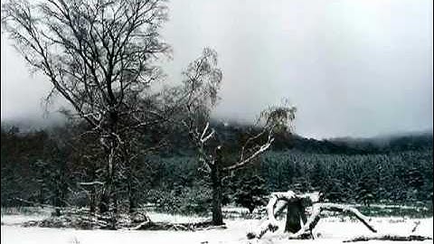 YouTube تلاوة روعه روعه روعه أواخر المؤمنون للشيخ أحمد فهيم