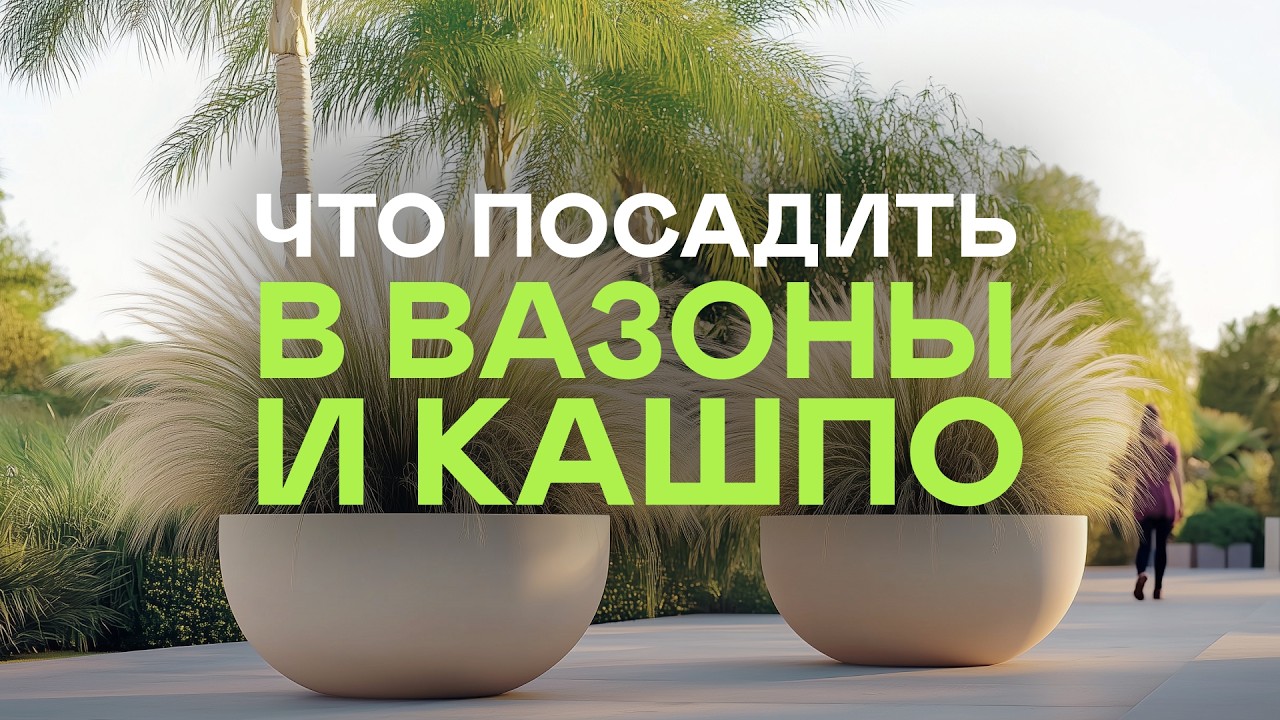 💥26 МНОГОЛЕТНИКОВ для КОНТЕЙНЕРНОГО ОЗЕЛЕНЕНИЯ (лучшая подборка в интернете)