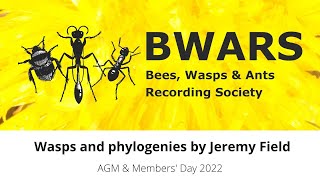 Wasps and Phylogenies by Jeremy Field