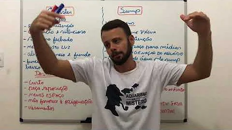 Qual melhor filtro para aquário Sump ou canister?