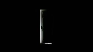 Survivors teaser