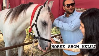 2023 SHREE RAM HORSE SHOW AKLUJ | STALLION RING | BHOSALE PATIL FAMILY | COUSINS marathivlog vlog